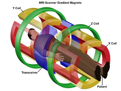 病人与MRI线圈的位置关系